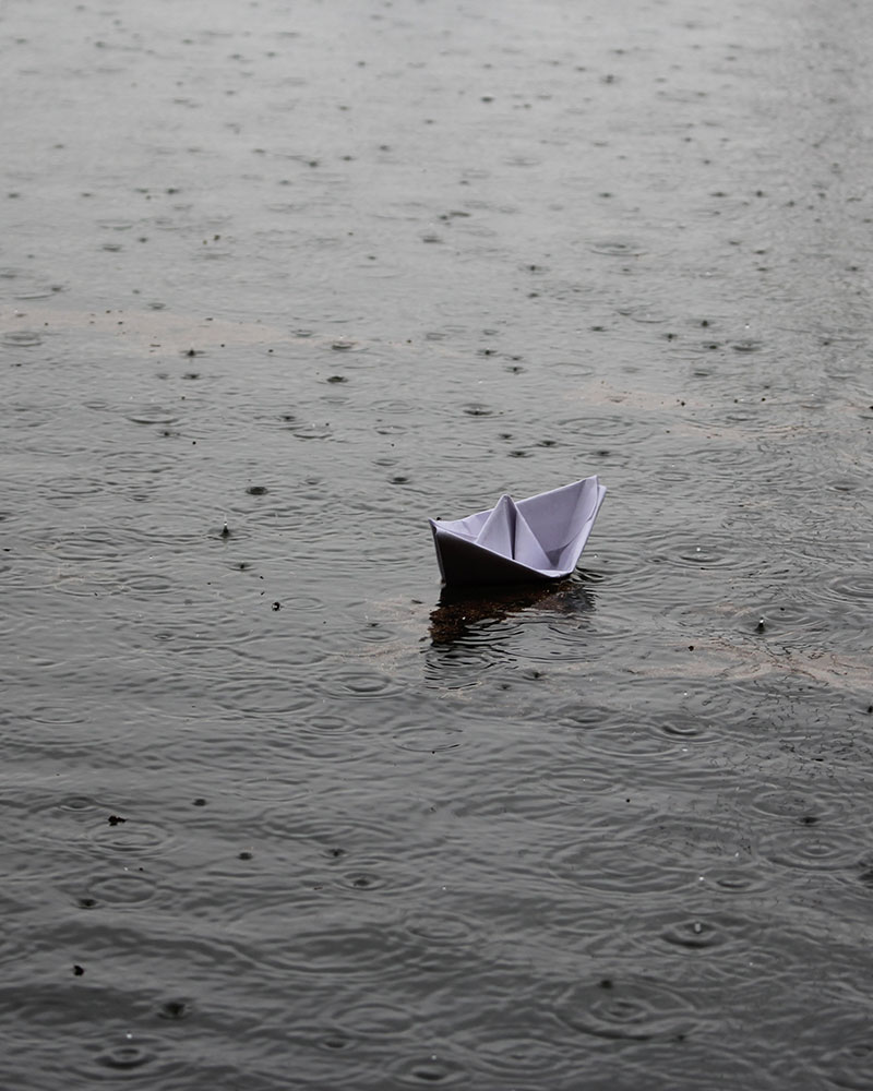 Noah's Flood Noah's Flood