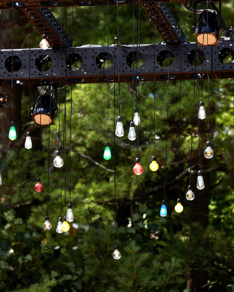 Summer Sendoff Picnic